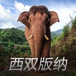 2025年9月9日墨西女超尼卡沙女足vs普埃布拉女足直播【24直播網(wǎng)】